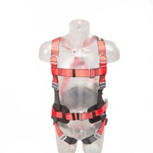 AB105135-front