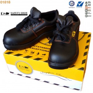 giay-bao-ho-lao-dong-singapore-DD-01818 (2)